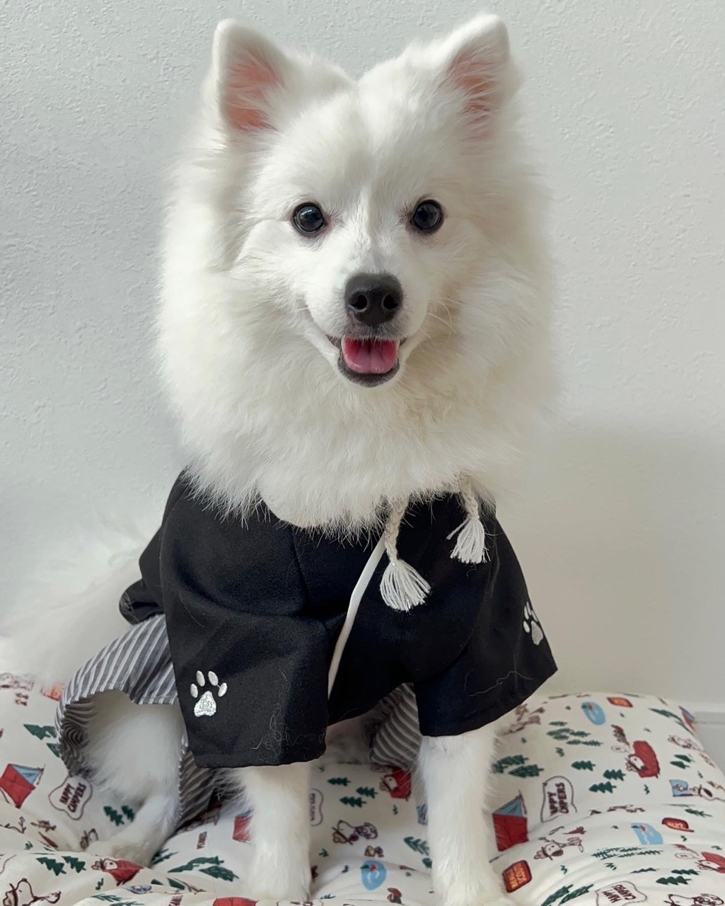 보리