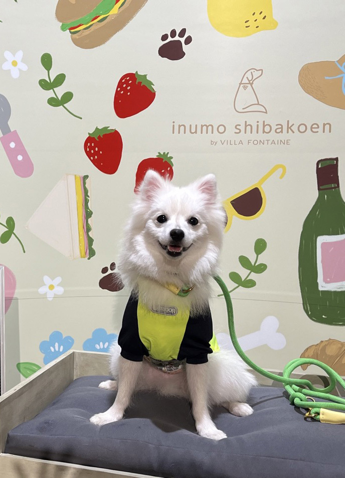 고구마 기다릴 때만 발휘되는 초집중력